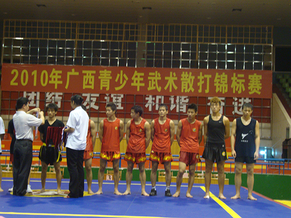10年广西区武术散打