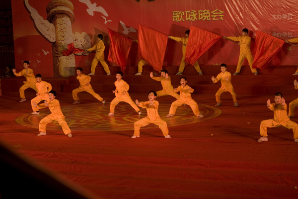 庆党90周年武术表演
