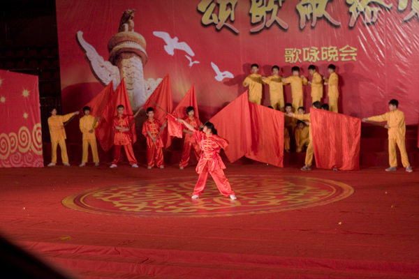 庆党90周年武术表演