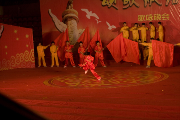 庆党90周年武术表演