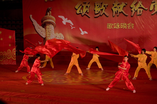 庆党90周年武术表演