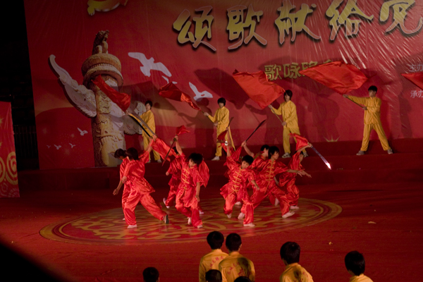 庆党90周年武术表演
