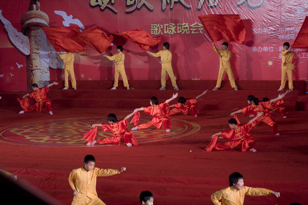 庆党90周年武术表演
