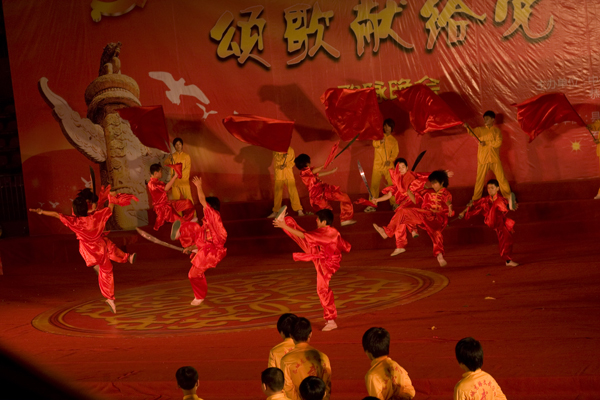 庆党90周年武术表演