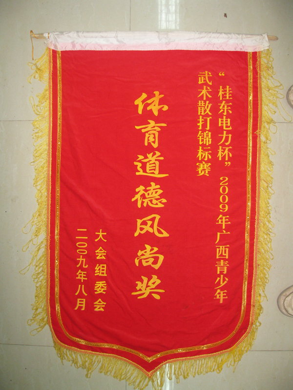 获奖及荣誉
